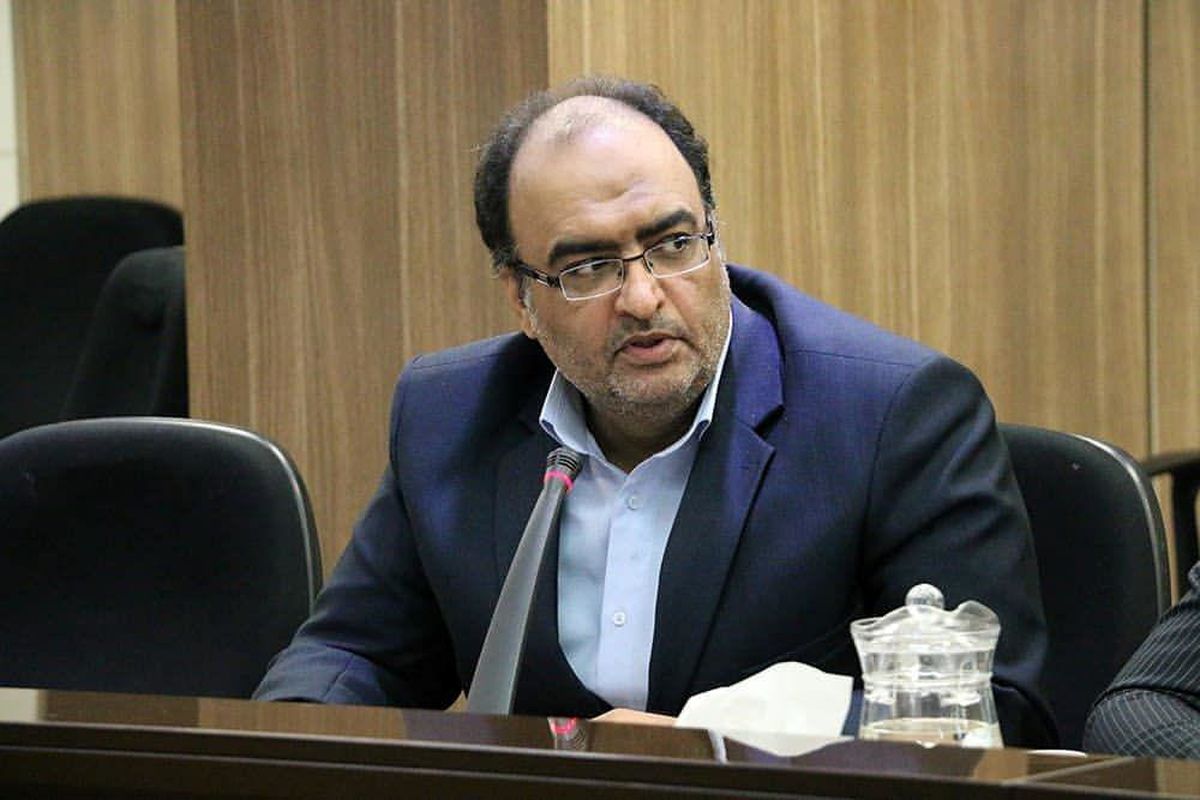 سعید عسگرزاده دبیر کل انجمن سنگ آهن ایران